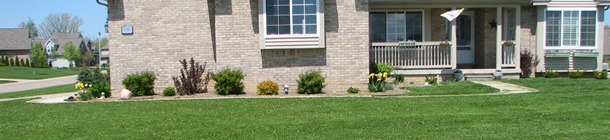 Lawn Care | Lawn Weed Control